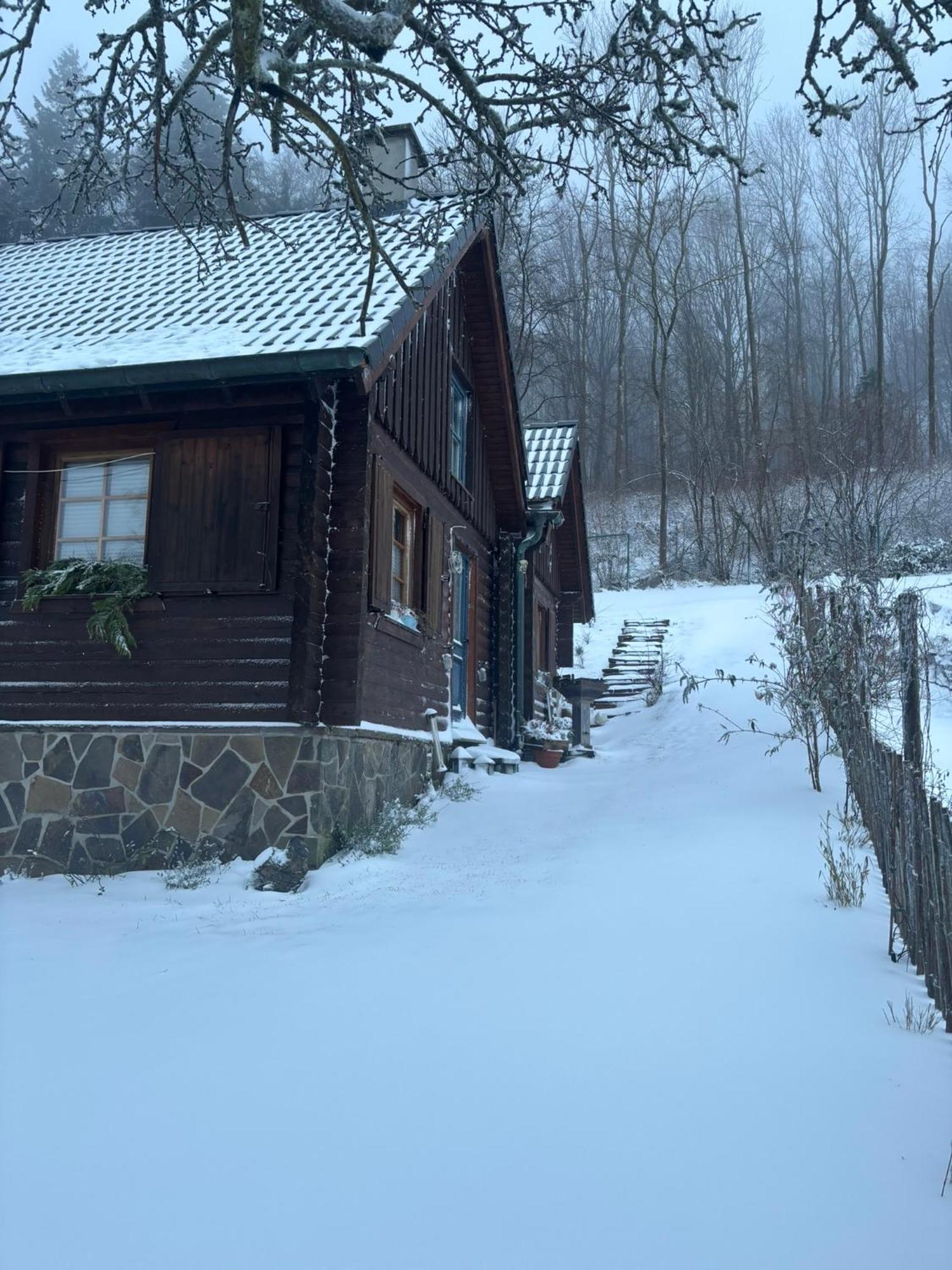 Blockhuette Engeln-Eifel Villa Kempenich Bagian luar foto