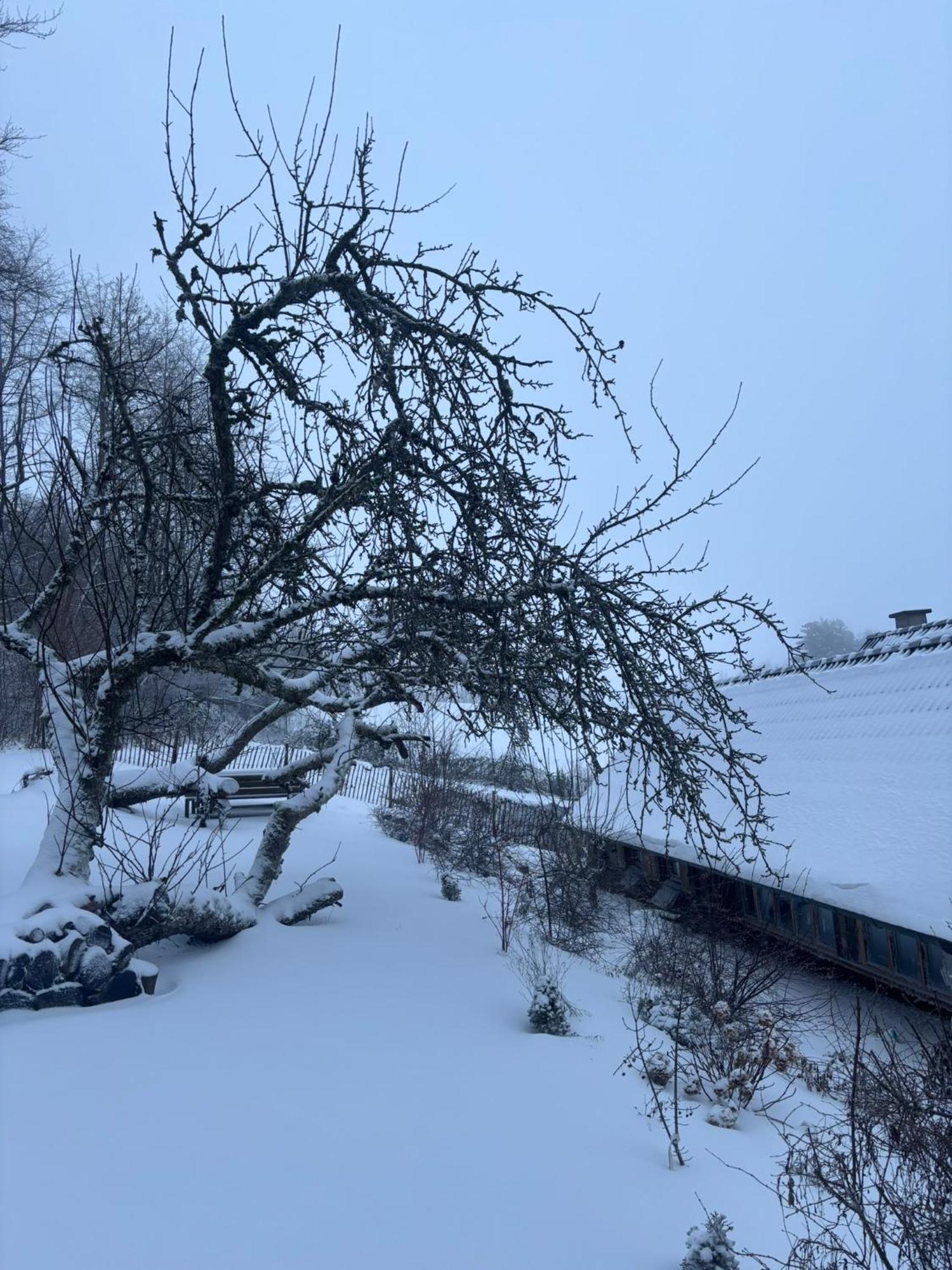 Blockhuette Engeln-Eifel Villa Kempenich Bagian luar foto