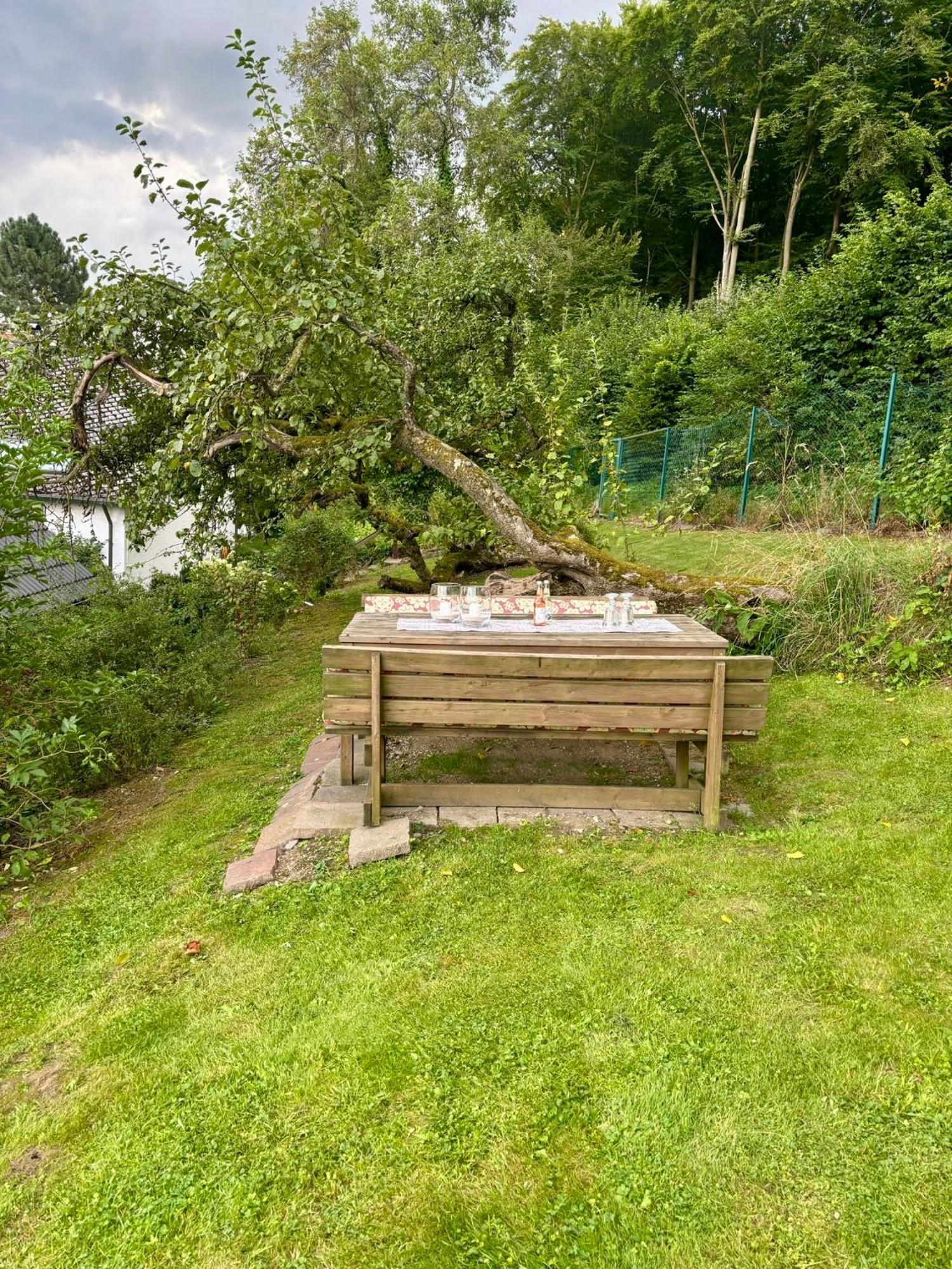 Blockhuette Engeln-Eifel Villa Kempenich Bagian luar foto